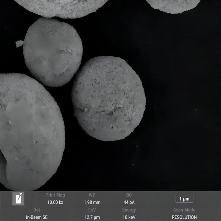 2023091859410661(1)(1)